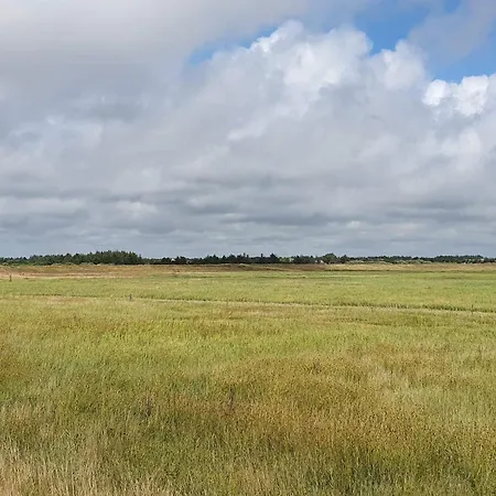 Prázdninový dům 10 Person In Blavand-by Traum