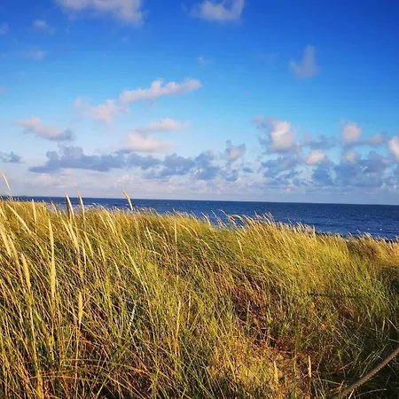 Vakantiehuis 10 Person In Blavand-by Traum *